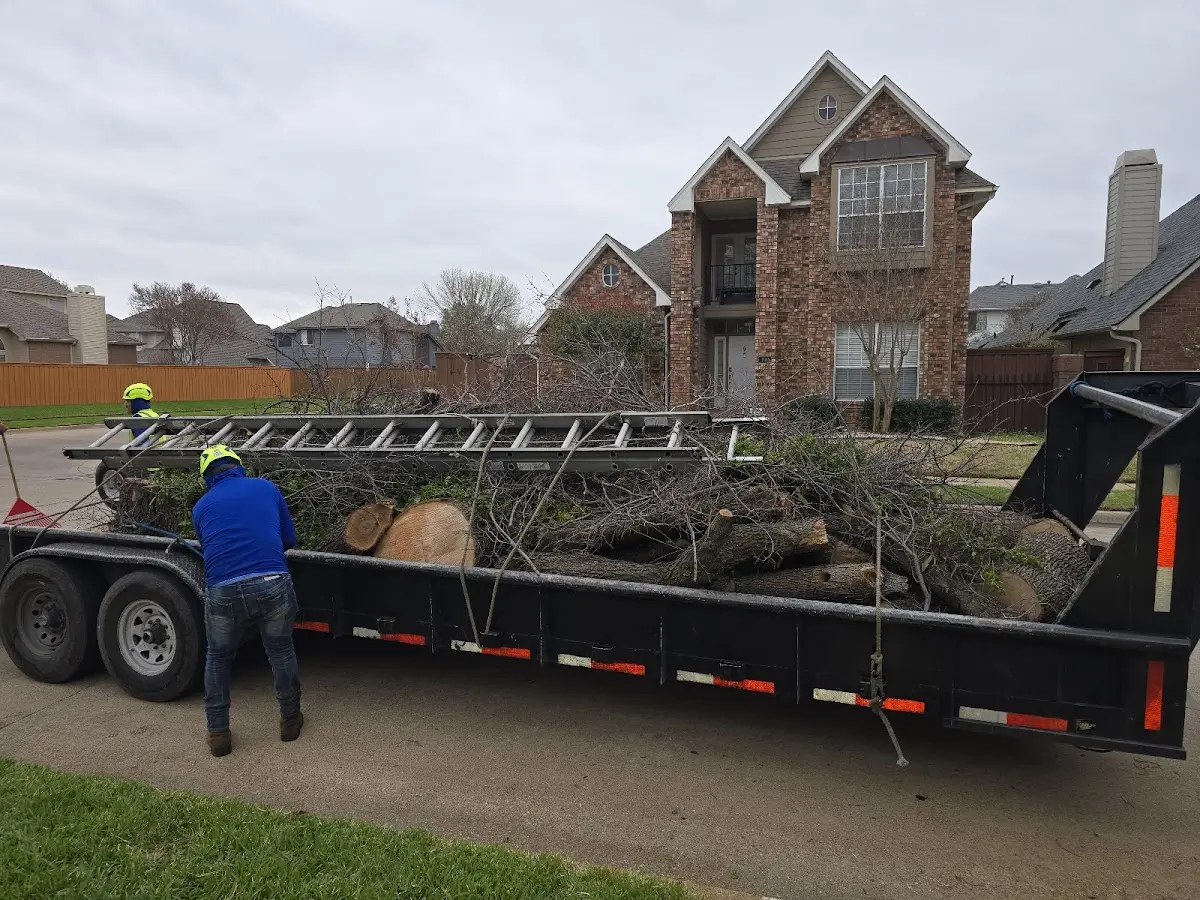 Expert Lot Clearing with proper safety equipment in Albion